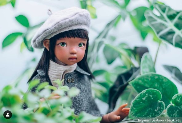 DUST OF DOLLS - Roze Chae