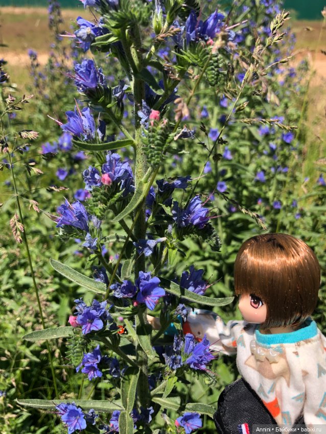Azone Майа гуляет возле пруда