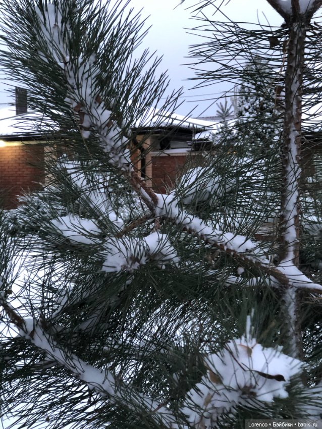 Снегопад — Авторские мишки Тедди и друзья: фото