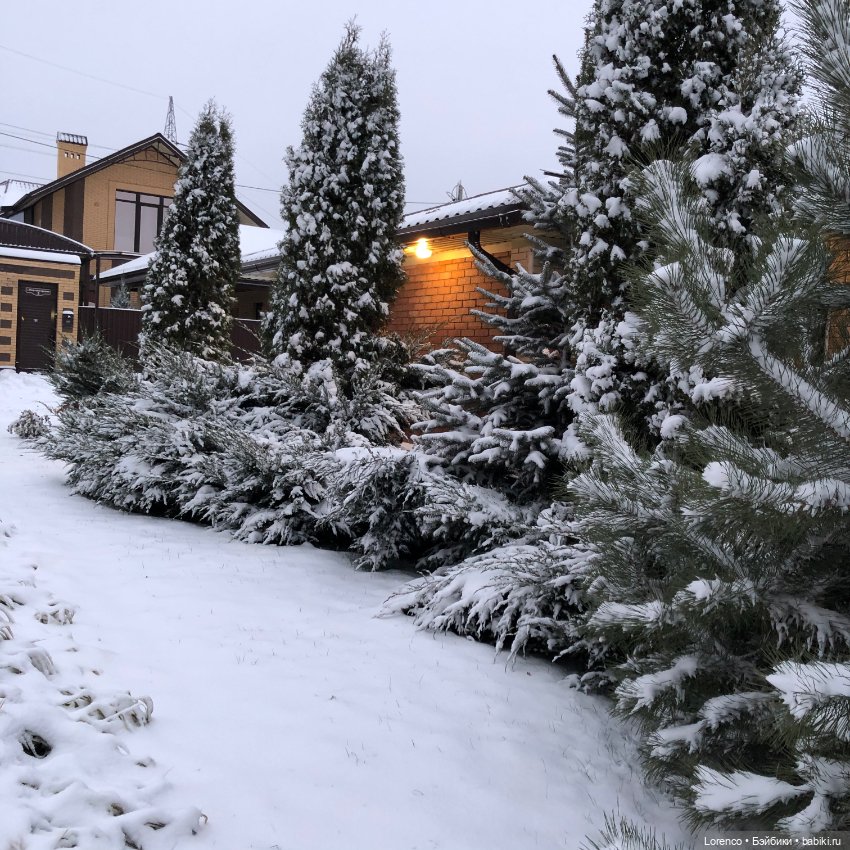 Снегопад — Авторские мишки Тедди и друзья: фото