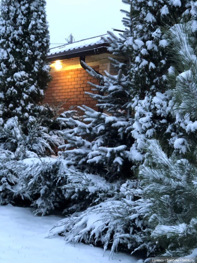 Снегопад — Авторские мишки Тедди и друзья: фото