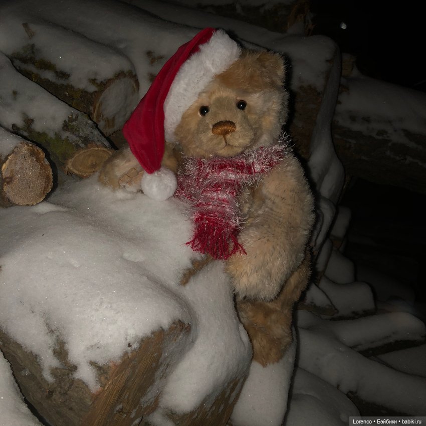 Снегопад — Авторские мишки Тедди и друзья: фото