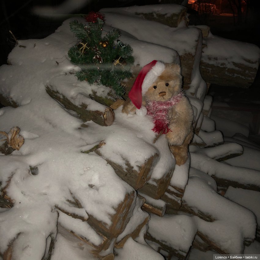 Снегопад — Авторские мишки Тедди и друзья: фото