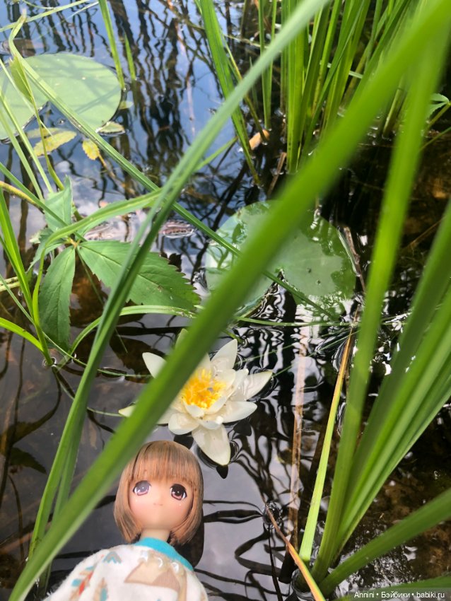 Azone Майа в лесу на озере Раменном