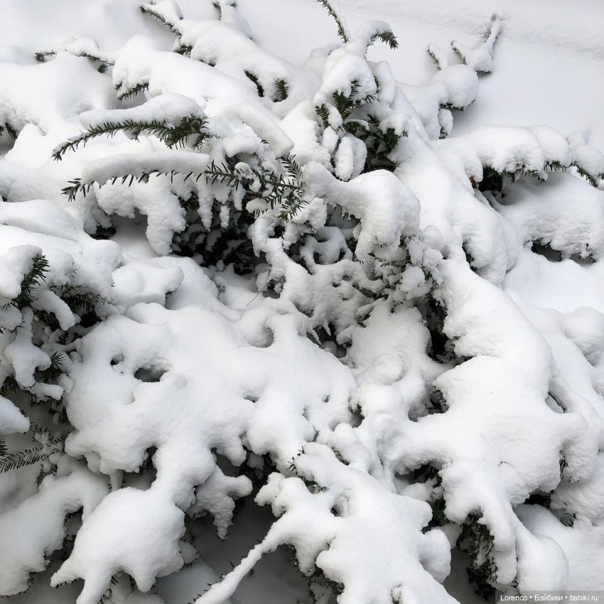 Сестричка для лисички — Интересные игрушки и фигурки (разное): редкие (фото 9)