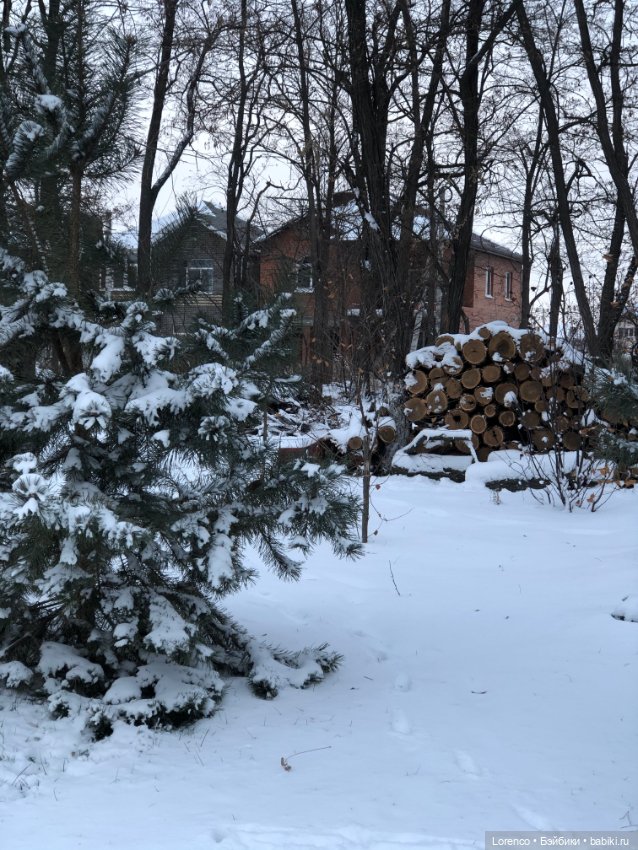 Волчонок — Плюшевые мишки и игрушки (Teddy Bear): винтаж (фото 7)