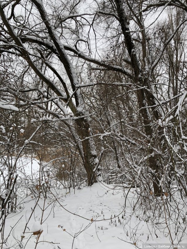 Зимние наброски — Болталка и разговоры обо всем: жизнь