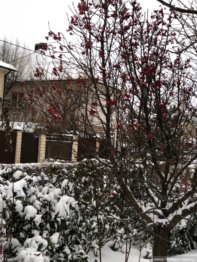 Зимние наброски — Болталка и разговоры обо всем: жизнь