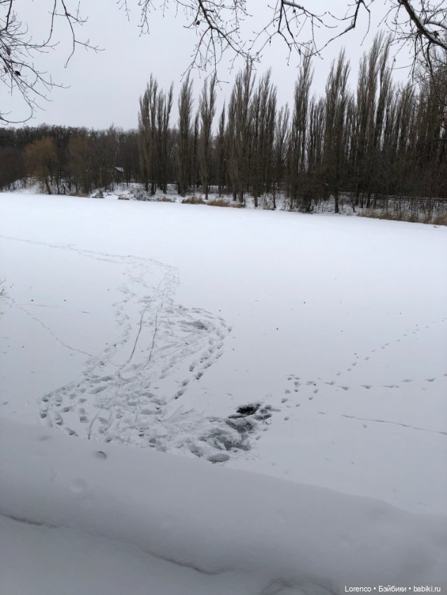 Зимние наброски — Болталка и разговоры обо всем: жизнь (фото 8)