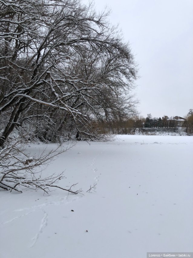 Зимние наброски — Болталка и разговоры обо всем: жизнь (фото 4)