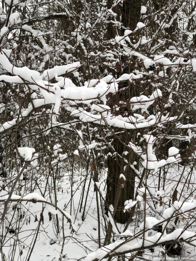 Зимние наброски — Болталка и разговоры обо всем: жизнь (фото 9)