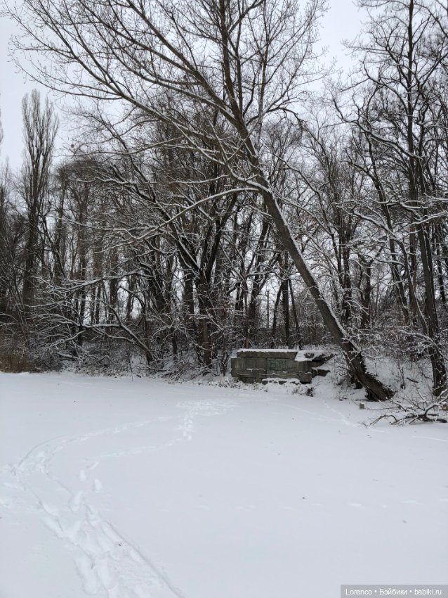 Зимние наброски — Болталка и разговоры обо всем: жизнь (фото 5)