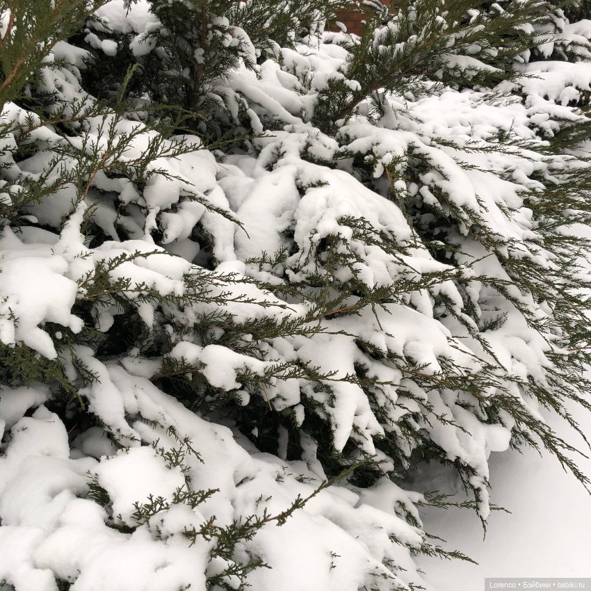 Зимние наброски — Болталка и разговоры обо всем: жизнь