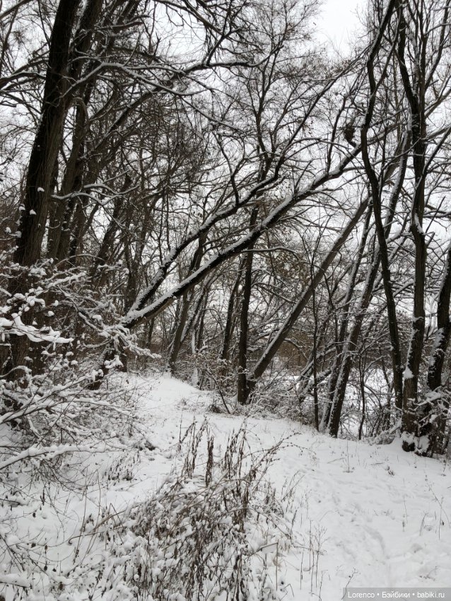 Зимние наброски — Болталка и разговоры обо всем: жизнь