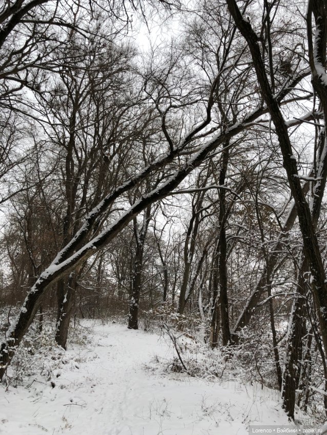 Зимние наброски — Болталка и разговоры обо всем: жизнь (фото 3)