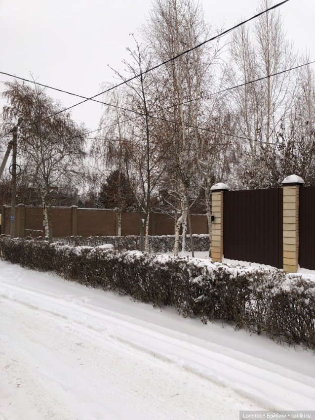 Зимние наброски — Болталка и разговоры обо всем: жизнь