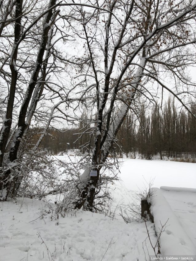 Зимние наброски — Болталка и разговоры обо всем: жизнь