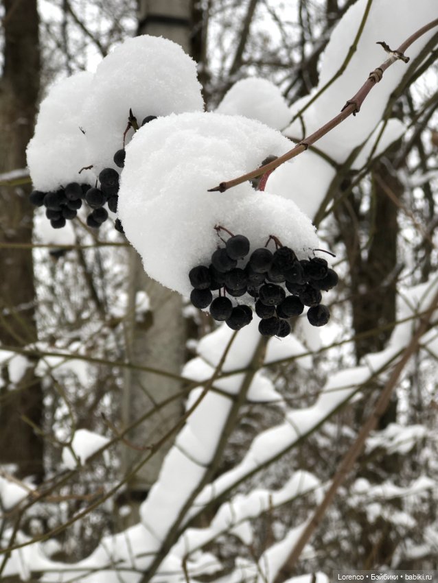 Зимние наброски — Болталка и разговоры обо всем: жизнь