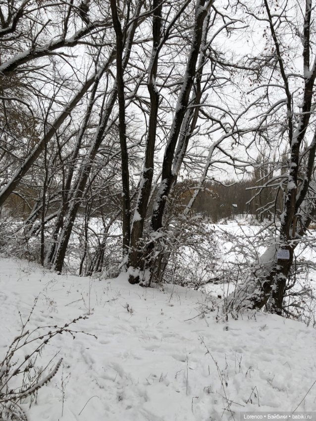Зимние наброски — Болталка и разговоры обо всем: жизнь