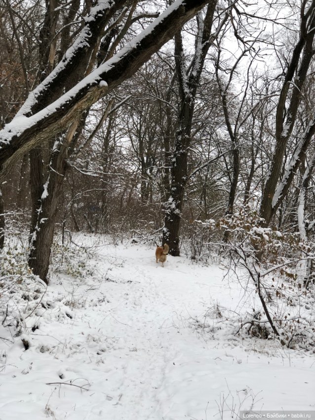Зимние наброски — Болталка и разговоры обо всем: жизнь (фото 7)