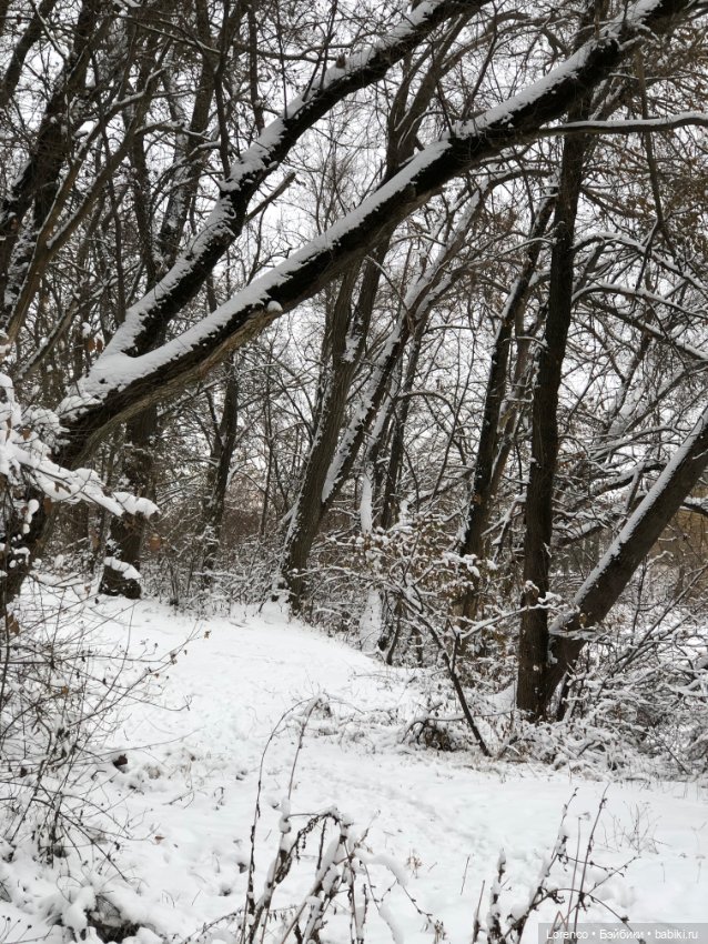 Зимние наброски — Болталка и разговоры обо всем: жизнь (фото 10)