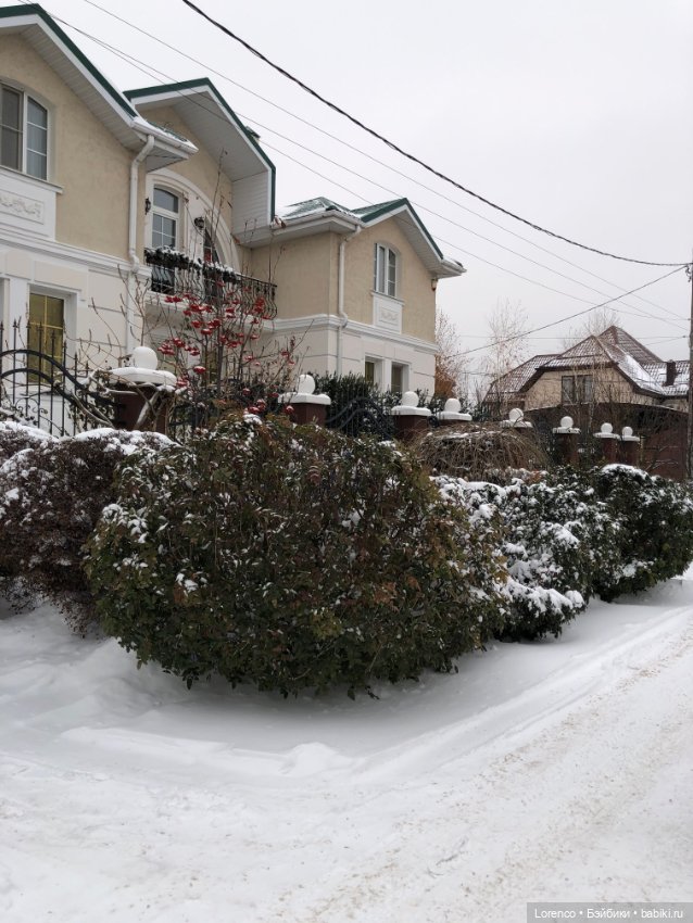 Зимние наброски — Болталка и разговоры обо всем: жизнь