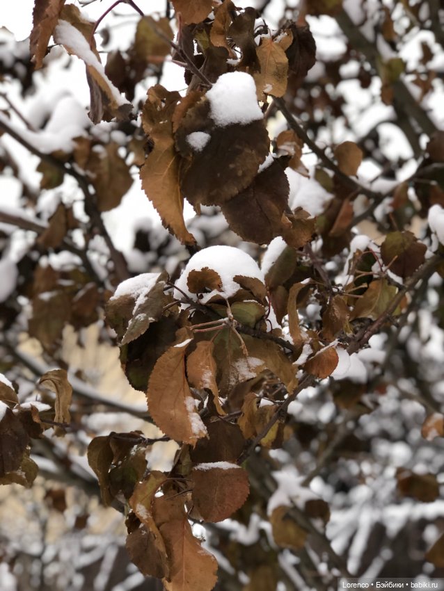 Зимние наброски — Болталка и разговоры обо всем: жизнь