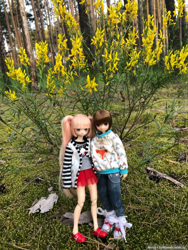 Azone Сара. Первая встреча и первая прогулка