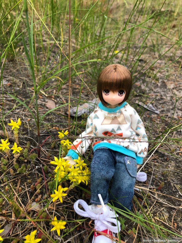 Azone Сара. Первая встреча и первая прогулка