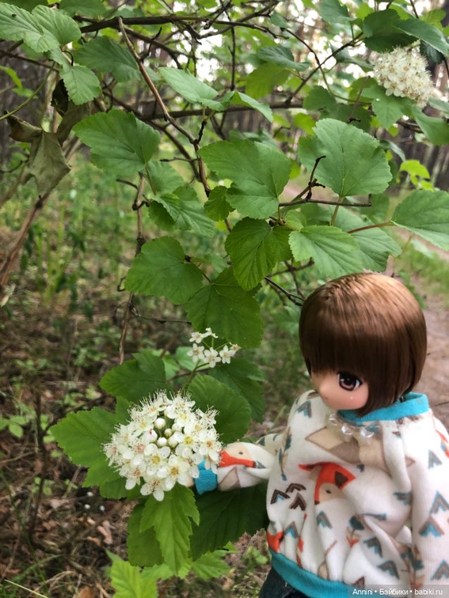 Azone Сара. Первая встреча и первая прогулка (фото 7)
