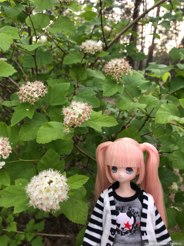 Azone Сара. Первая встреча и первая прогулка (фото 8)