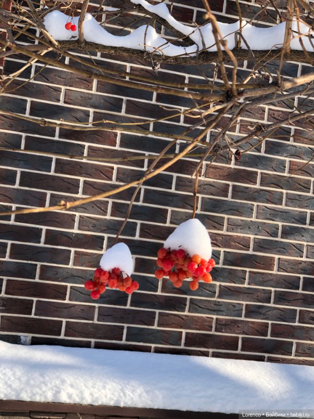 Солнечные пейзажи зимы — Болталка и разговоры обо всем: жизнь (фото 5)