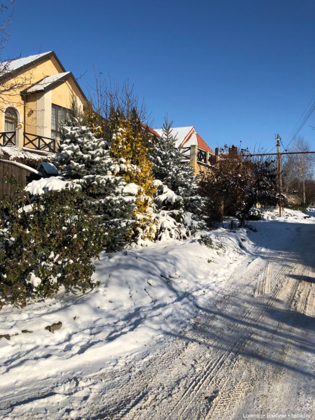 Солнечные пейзажи зимы — Болталка и разговоры обо всем: жизнь
