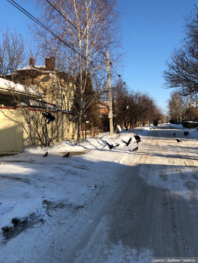 Солнечные пейзажи зимы — Болталка и разговоры обо всем: жизнь