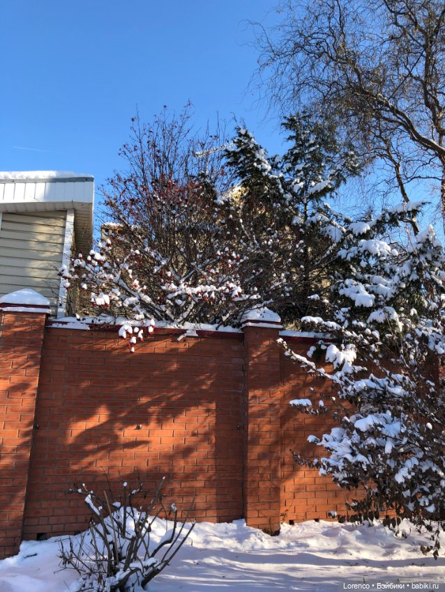 Солнечные пейзажи зимы — Болталка и разговоры обо всем: жизнь