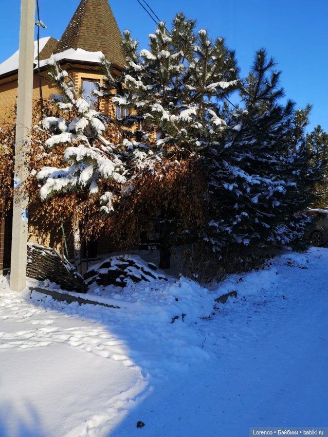Солнечные пейзажи зимы — Болталка и разговоры обо всем: жизнь