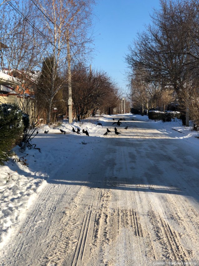 Солнечные пейзажи зимы — Болталка и разговоры обо всем: жизнь