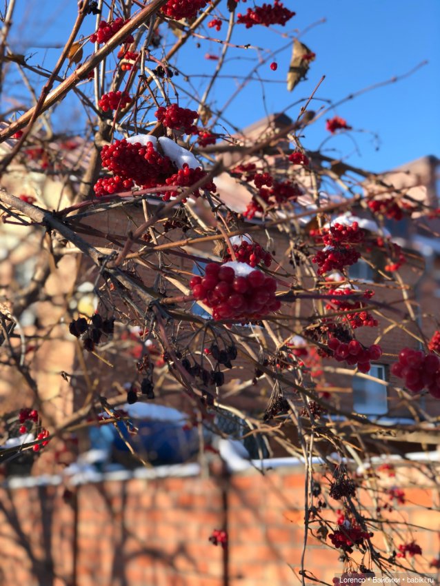 Солнечные пейзажи зимы — Болталка и разговоры обо всем: жизнь