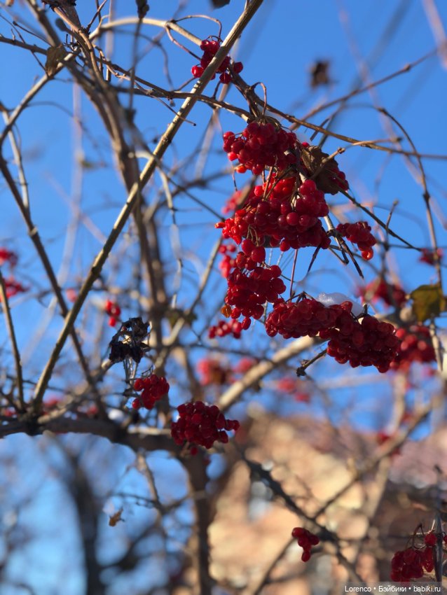 Солнечные пейзажи зимы — Болталка и разговоры обо всем: жизнь