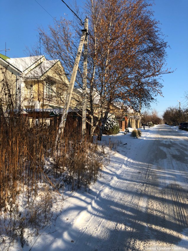 Солнечные пейзажи зимы — Болталка и разговоры обо всем: жизнь