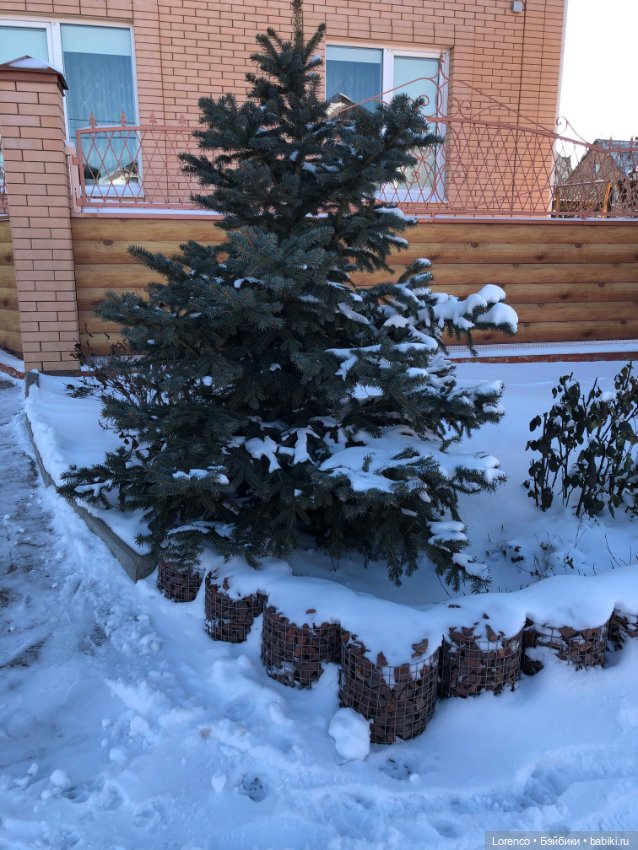 Солнечные пейзажи зимы — Болталка и разговоры обо всем: жизнь