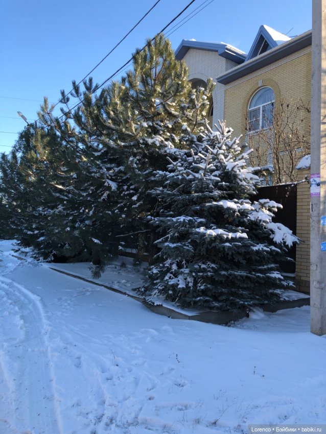 Солнечные пейзажи зимы — Болталка и разговоры обо всем: жизнь