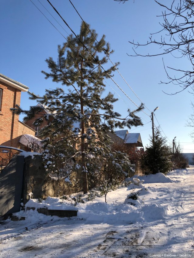 Солнечные пейзажи зимы — Болталка и разговоры обо всем: жизнь