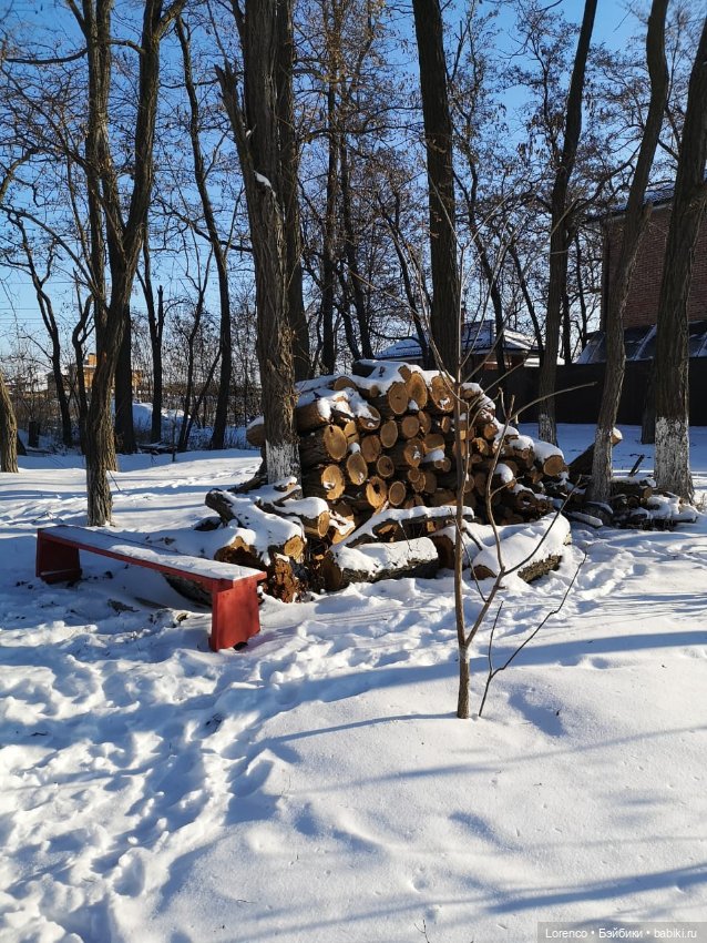 Солнечные пейзажи зимы — Болталка и разговоры обо всем: жизнь