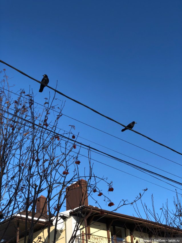 Солнечные пейзажи зимы — Болталка и разговоры обо всем: жизнь