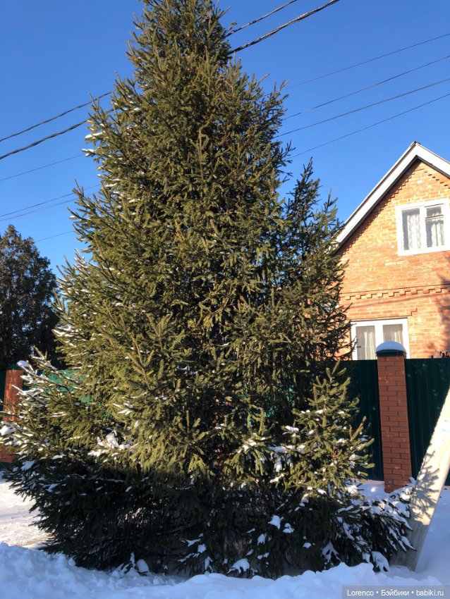 Солнечные пейзажи зимы — Болталка и разговоры обо всем: жизнь