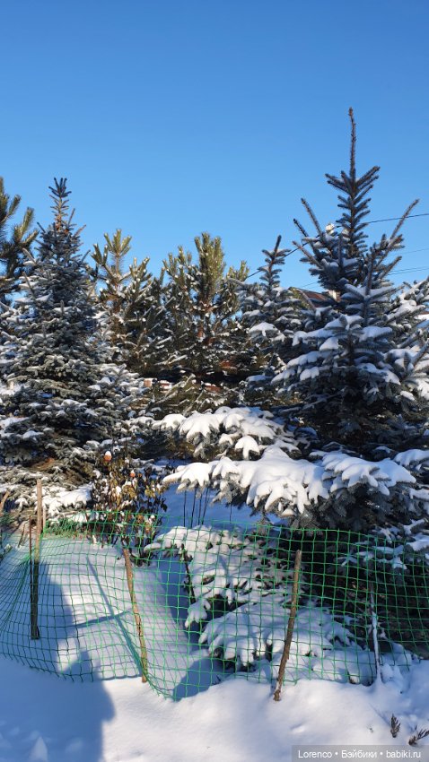 Солнечные пейзажи зимы — Болталка и разговоры обо всем: жизнь