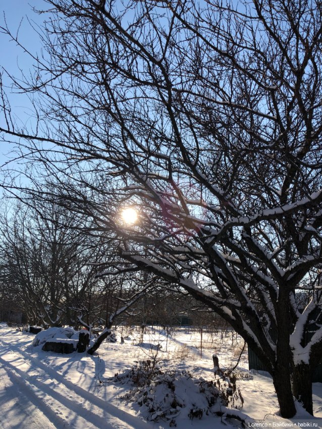 Солнечные пейзажи зимы — Болталка и разговоры обо всем: жизнь