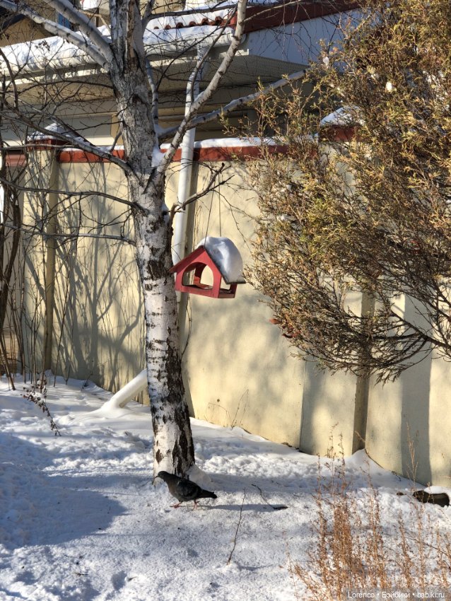 Солнечные пейзажи зимы — Болталка и разговоры обо всем: жизнь