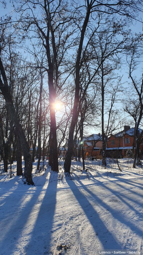 Солнечные пейзажи зимы — Болталка и разговоры обо всем: жизнь